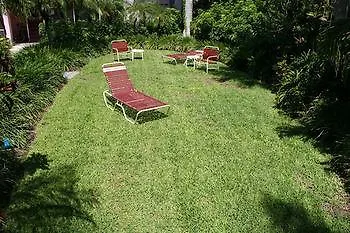 Siesta Palms By The