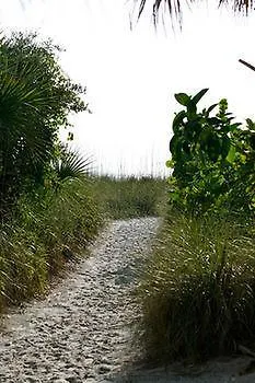 Siesta Palms By The Siesta Key