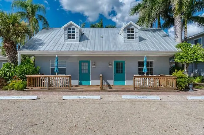 Blue Sage Siesta Key