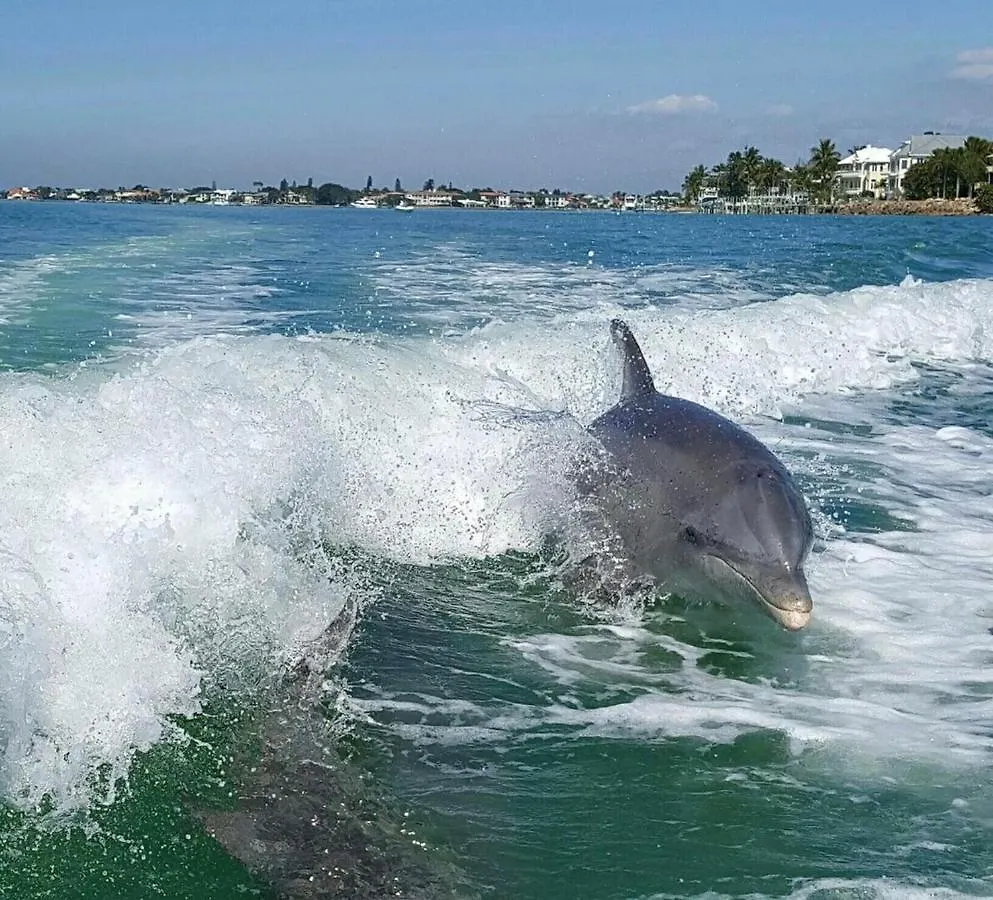 Siesta Beach Cottage, Sleeps 6, Walk To Beach, Stores, & Restaurants *