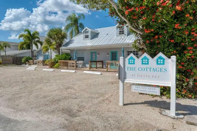Wild Lime * Siesta Key