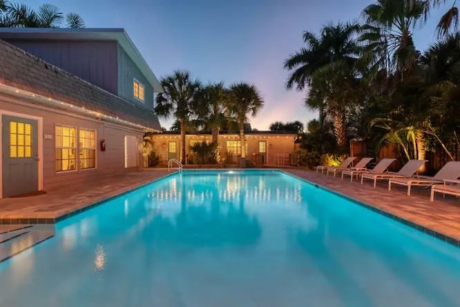 Fiddle Fig * Siesta Key