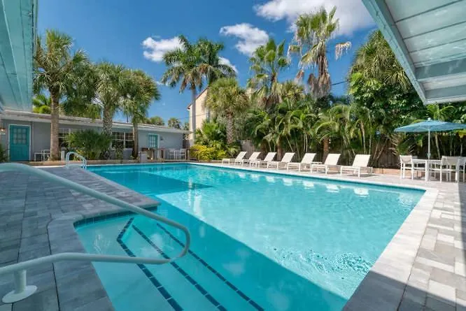 Fiddle Fig Siesta Key