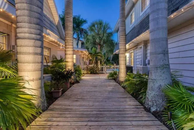Fiddle Fig * Siesta Key