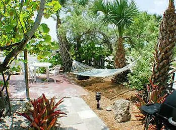 Beach Palms Of Village